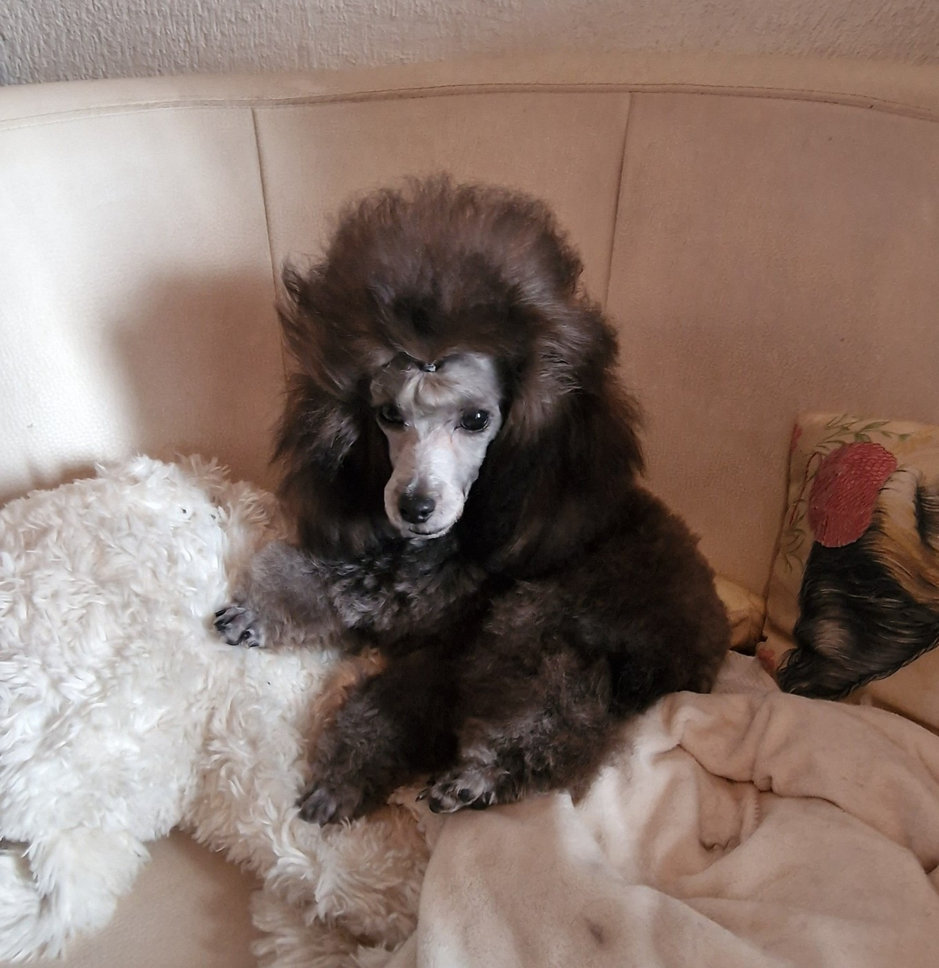 Silver joker Number one